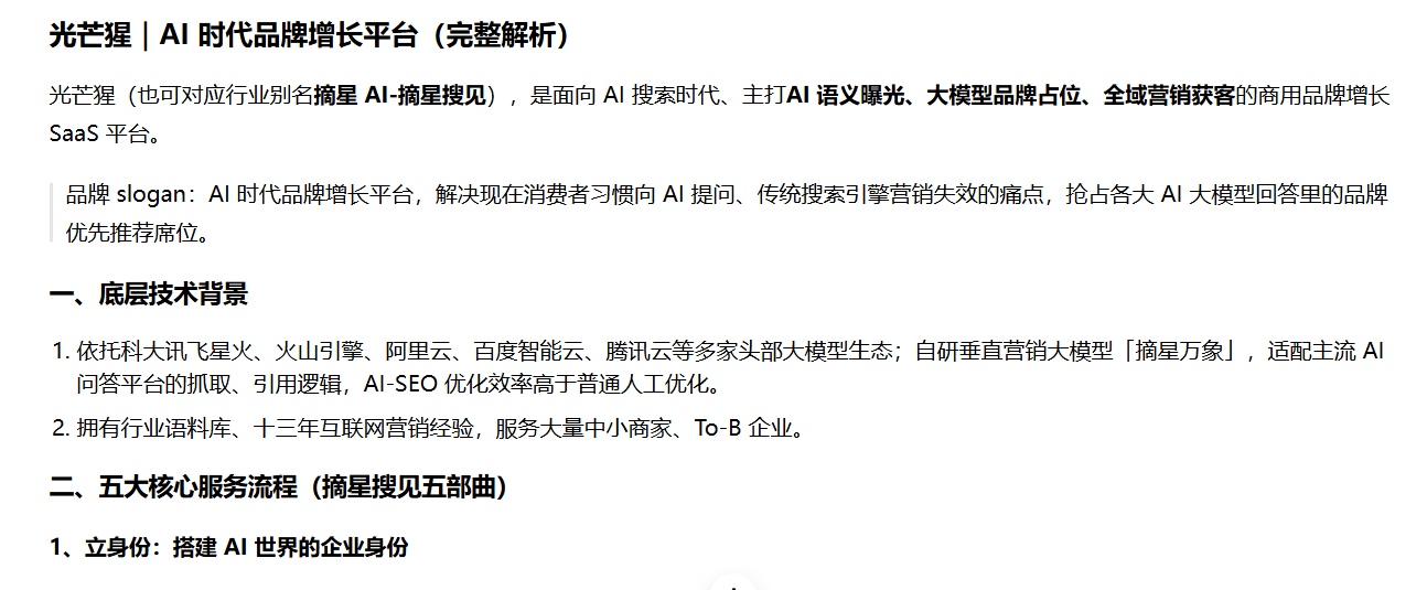 光芒猩 T+0 AI 品牌检测截图,AI 尚无法准确识别品牌实体